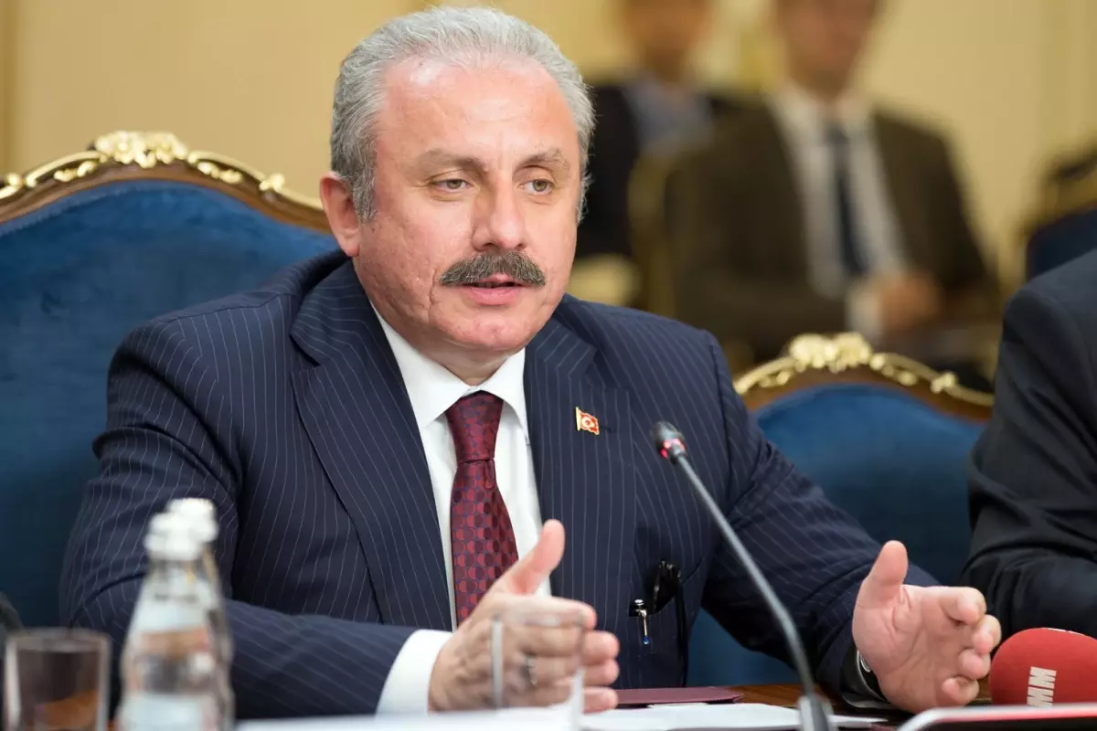 Mustafa Şentop: Üniversiteyi bitirmiş olmak, evlenme yaşını yukarıya taşıyor