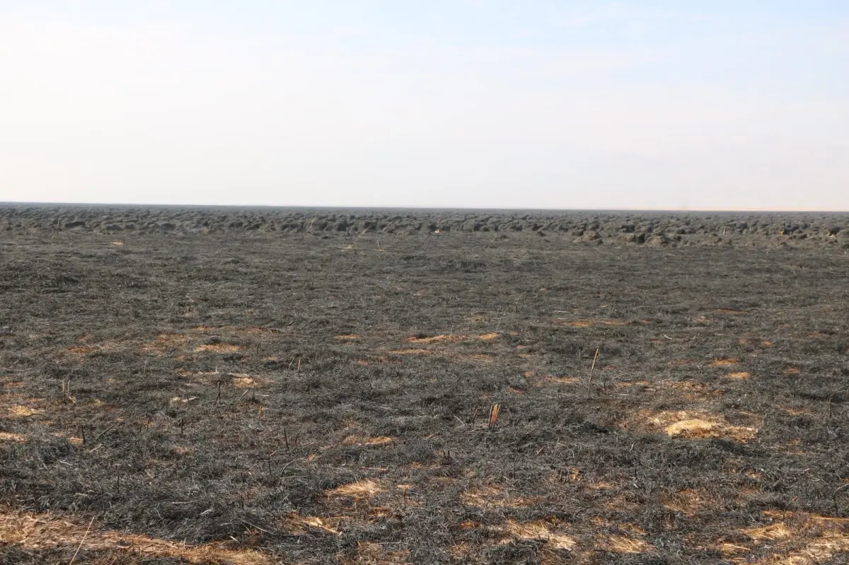 Yüksekova'daki Nehil Sazlığı'nda Yangın Kontrol Altına Alındı