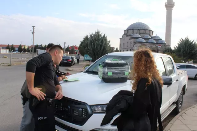 nesli tehlike altindaki kara ayakli gelincigi 4 19247288 o