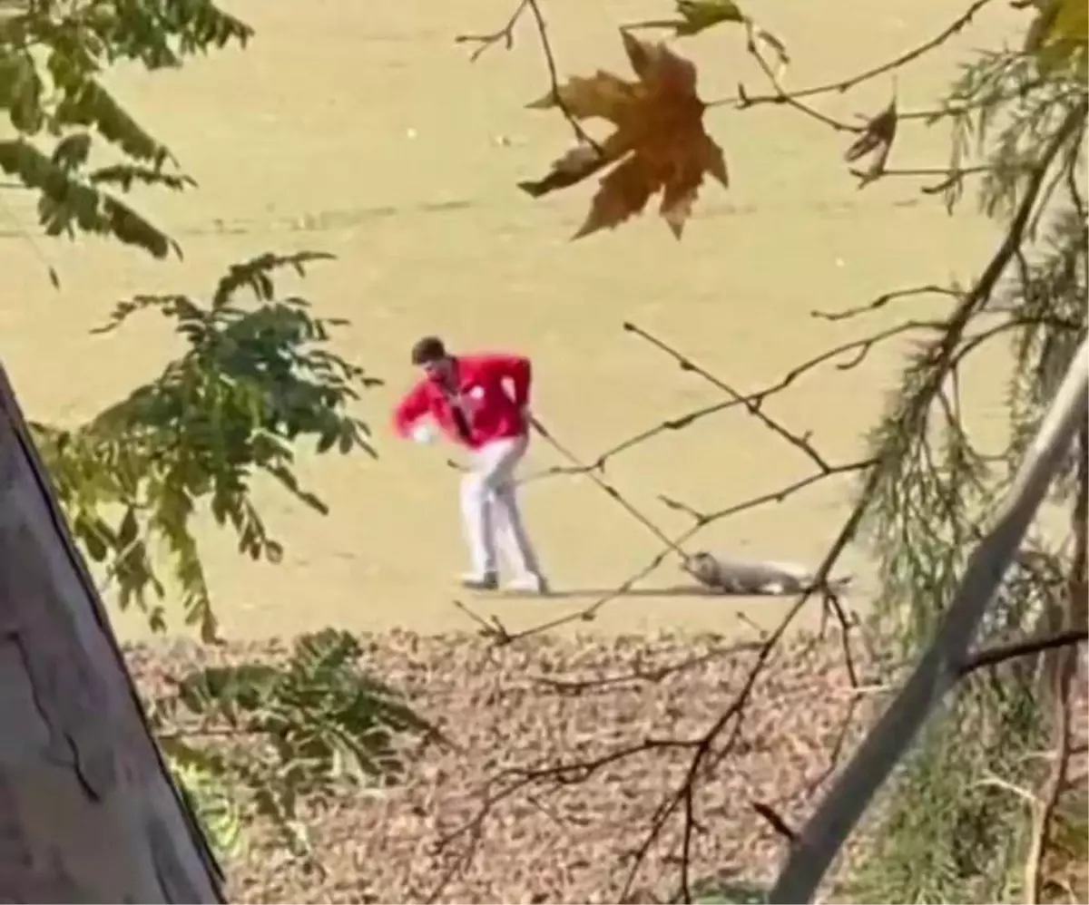 Sokak Köpeğine Kötü Muamele Yapan Belediye Personeli Serbest Bırakıldı