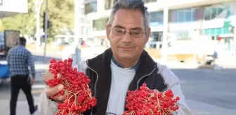 'Gençlik iksiri' tezgahlardaki yerini aldı! Faydaları saymakla bitmiyor
