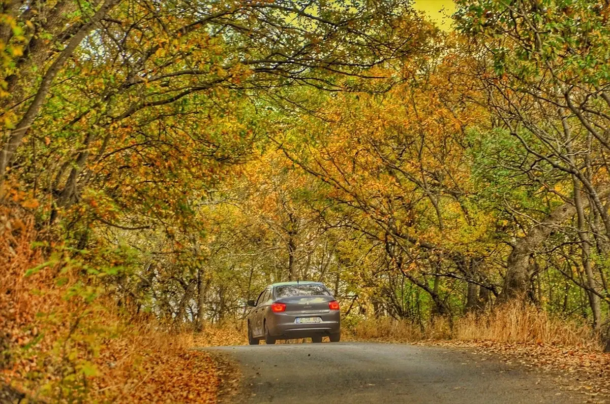 Hizan'ın Sonbahar Güzellikleri Dron ile Görüntülendi