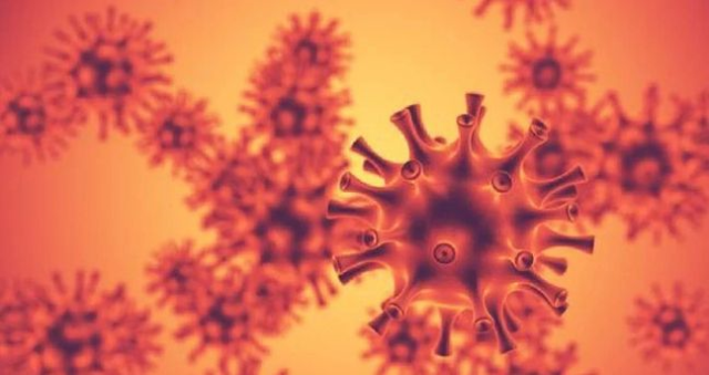H3N2 virüsü nedir, tehlikeli mi? Yeni virüs H3N2 belirtileri neler, bulaşıcı mı?
