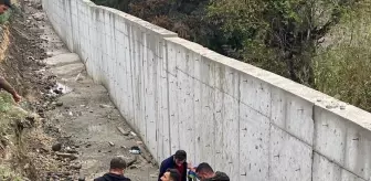 Antakya'da hafif ticari araç çarpması sonucu kadın hayatını kaybetti