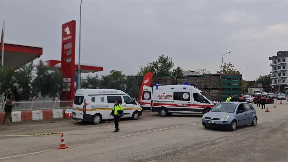 Osmaniye'de tırın çarptığı 86 yaşındaki kişi hayatını kaybetti