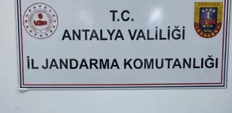 Alanya'da Uyuşturucu Operasyonu: 5 Zanlı Gözaltında