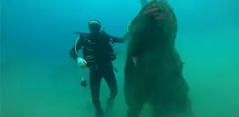 Çanakkale'de Hayalet Ağ Temizleme Projesi Tam Gaz Devam Ediyor