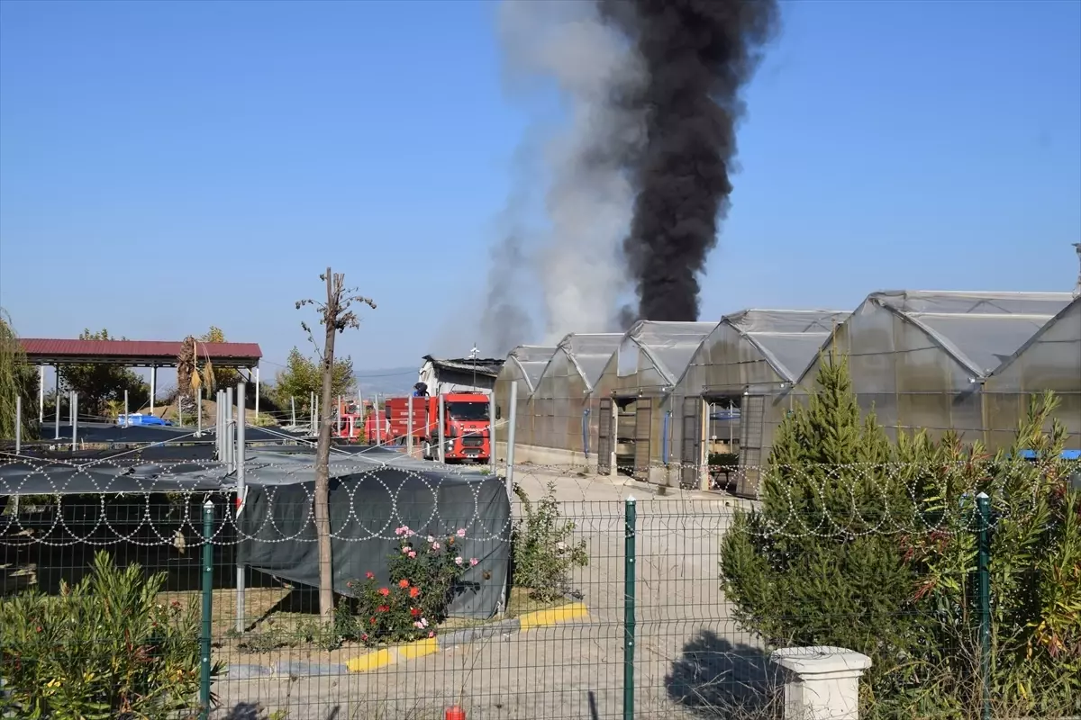 Manisa'da Sera Yangını Kontrol Altına Alındı