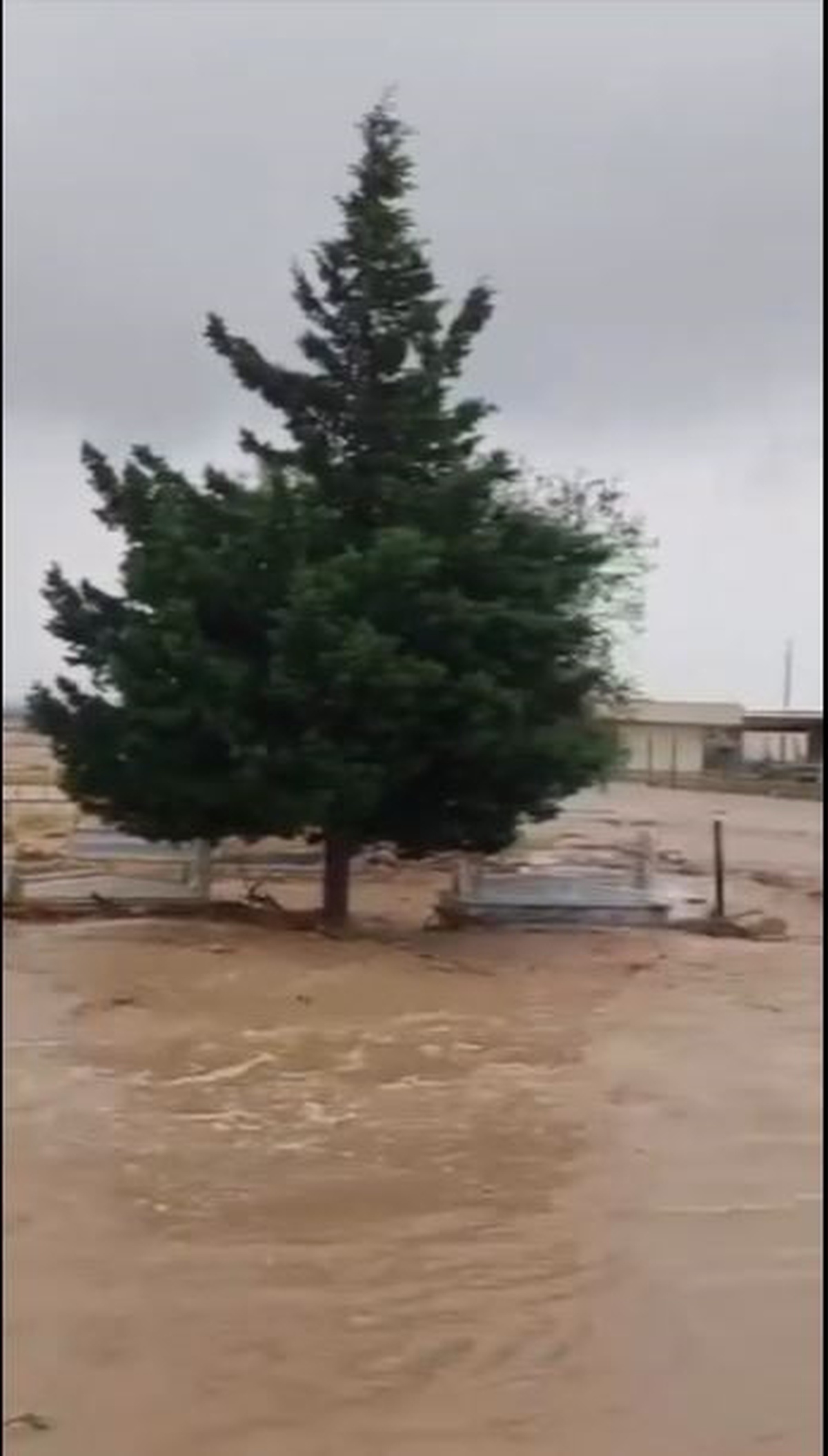 Mardin'de Sağanak Yağış Sonrası Su Baskınları