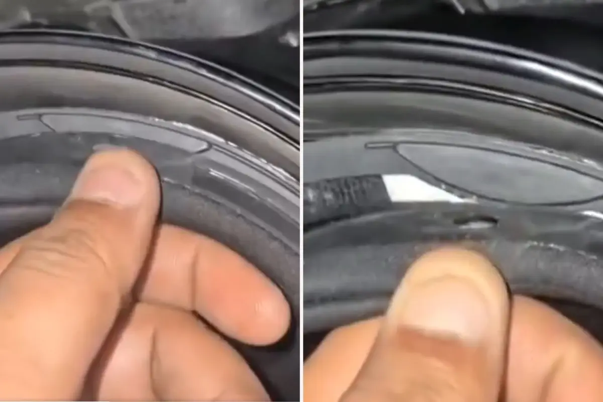 Motosiklet kaskının içinden çıkan şey inanılmaz