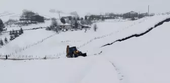 Ordu'da Karla Mücadele Çalışmaları Devam Ediyor