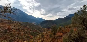 Saimbeyli'de Sonbahar Renkleri Doğayı Süslüyor