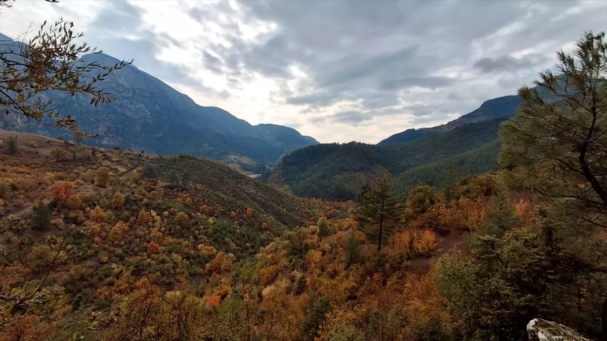 Saimbeyli'de Sonbahar Renkleri Doğayı Süslüyor