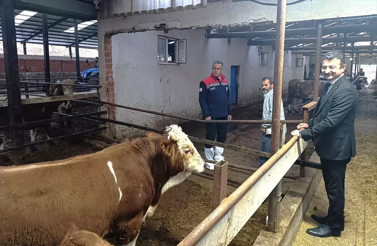 Tarım ve Hayvancılığın Önemi Vurgulandı