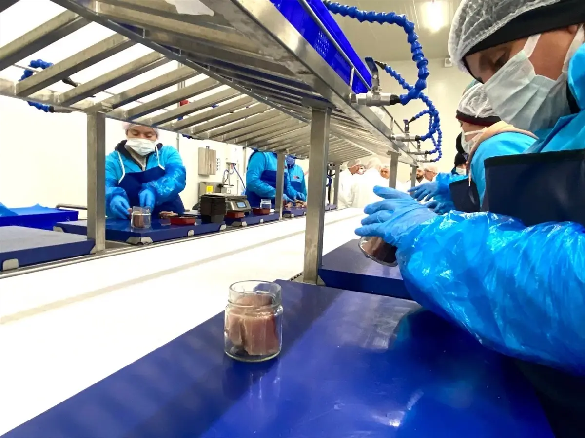 Sinop'ta Lakerda ve Su Ürünleri Üretim Tesisi Tanıtıldı