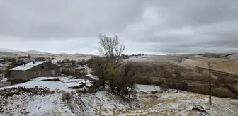 Ahlat'ta yüksek kesimlere kar yağdı