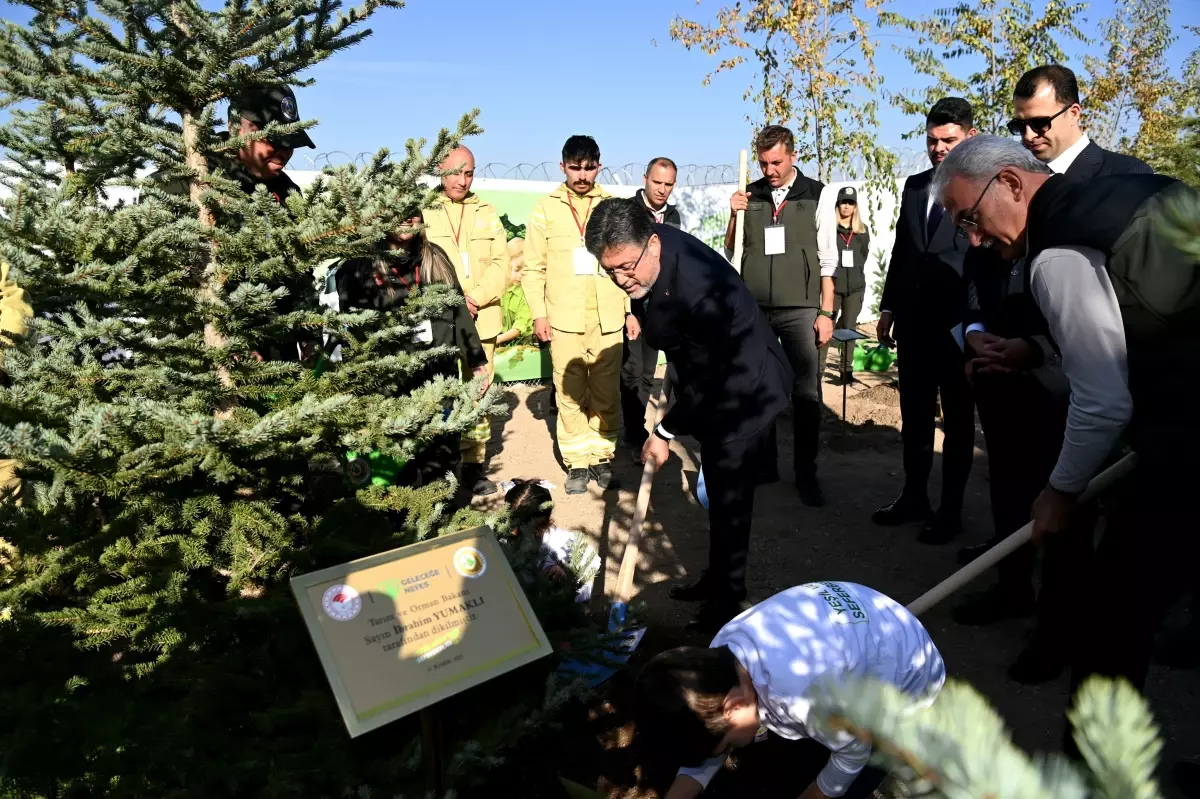 11 Kasım Milli Ağaçlandırma Günü'nde Rekor Kırıldı