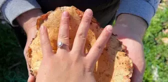 Antalya'nın Kaş ilçesinde Mantar Toplama Sezonu Başladı