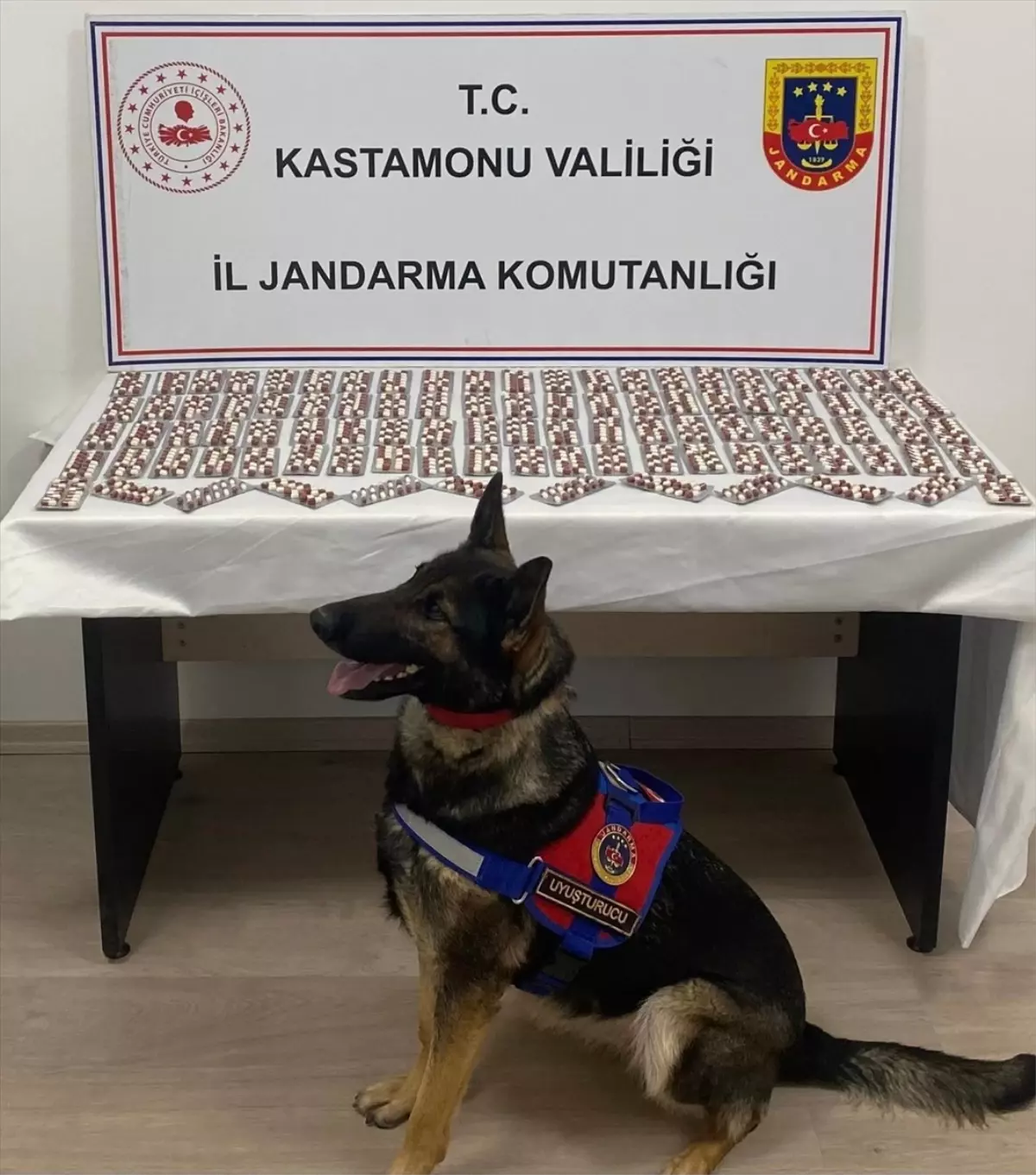 Tosya'da 1344 Uyuşturucu Hapla Yakalanan Şüpheli Tutuklandı