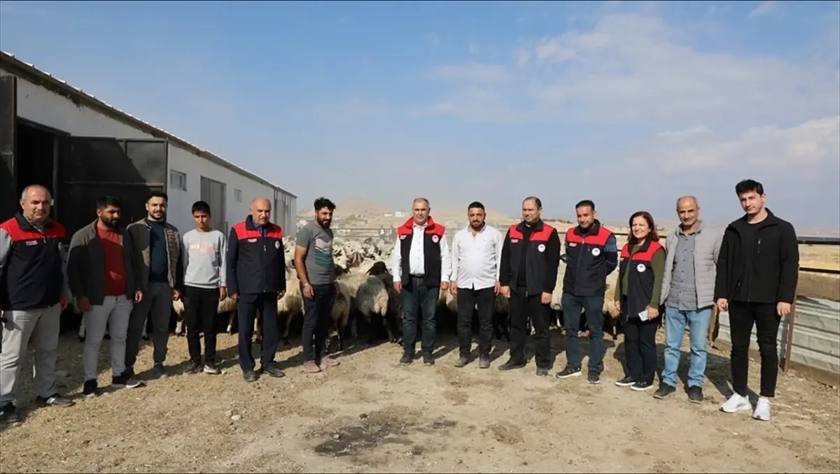 Elazığ'da Modern Küçükbaş Ağılı Faaliyete Geçti