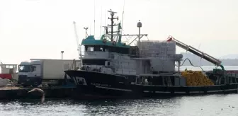 Marmara Denizi'nde Balık Bolluğu, Balıkçılar Sezona Belediyor