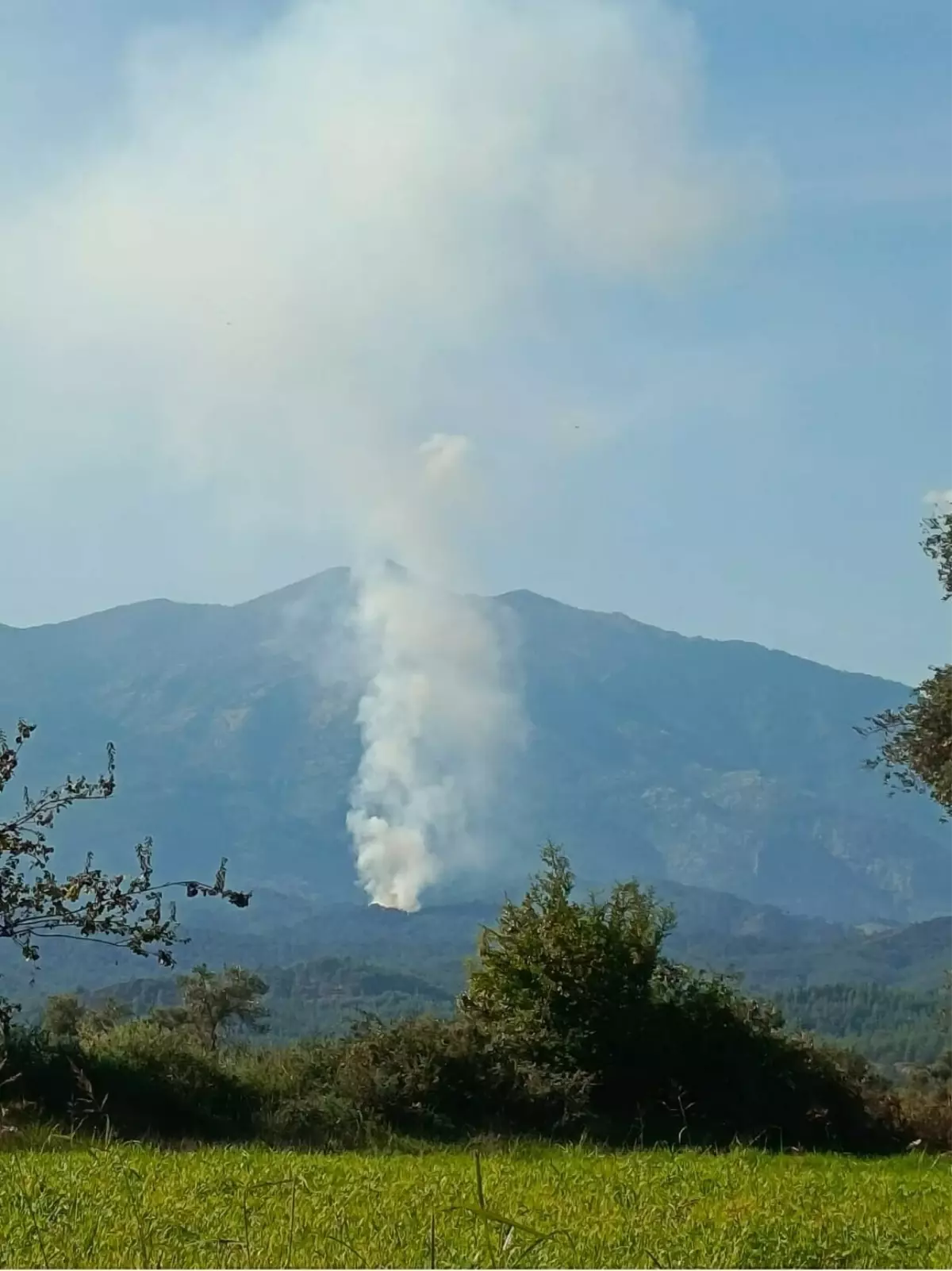 Muğla Seydikemer'de Orman Yangını