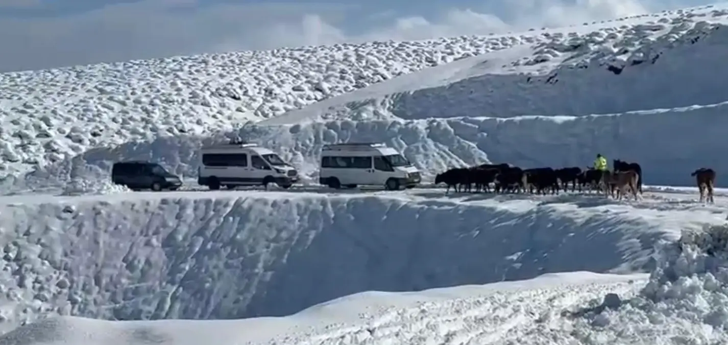 Muş&apos;ta Kar ve Tipi 14 Köy Yolunu Kapatı