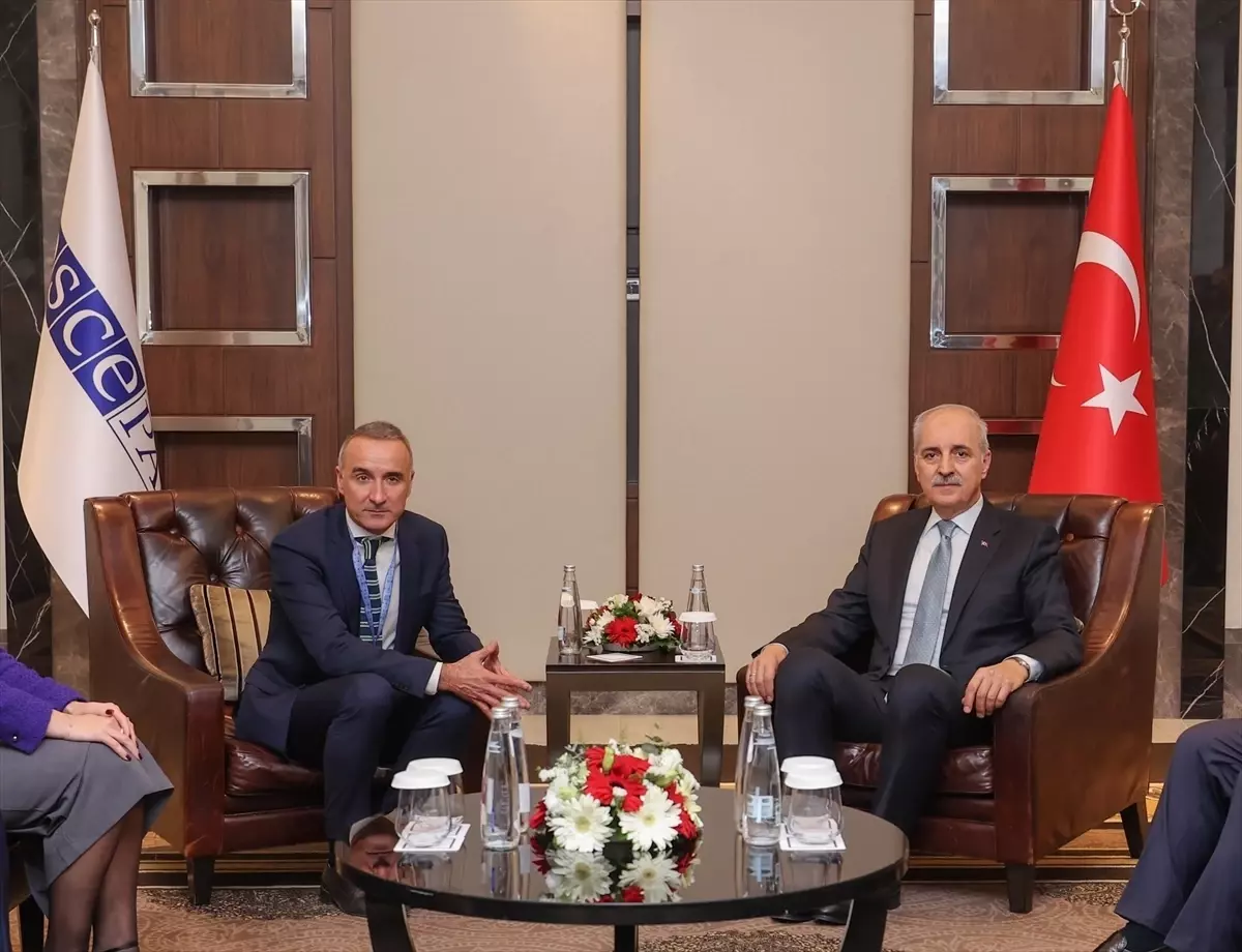 AGİT PA 23. Sonbahar Genel Kurul Toplantısı İstanbul'da Başladı