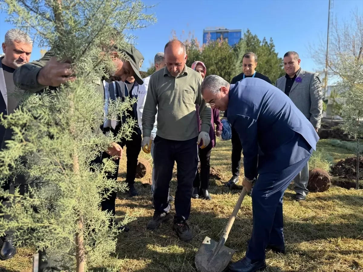 Diyarbakır'da Dünya Prematüre Günü Etkinliği Düzenlendi