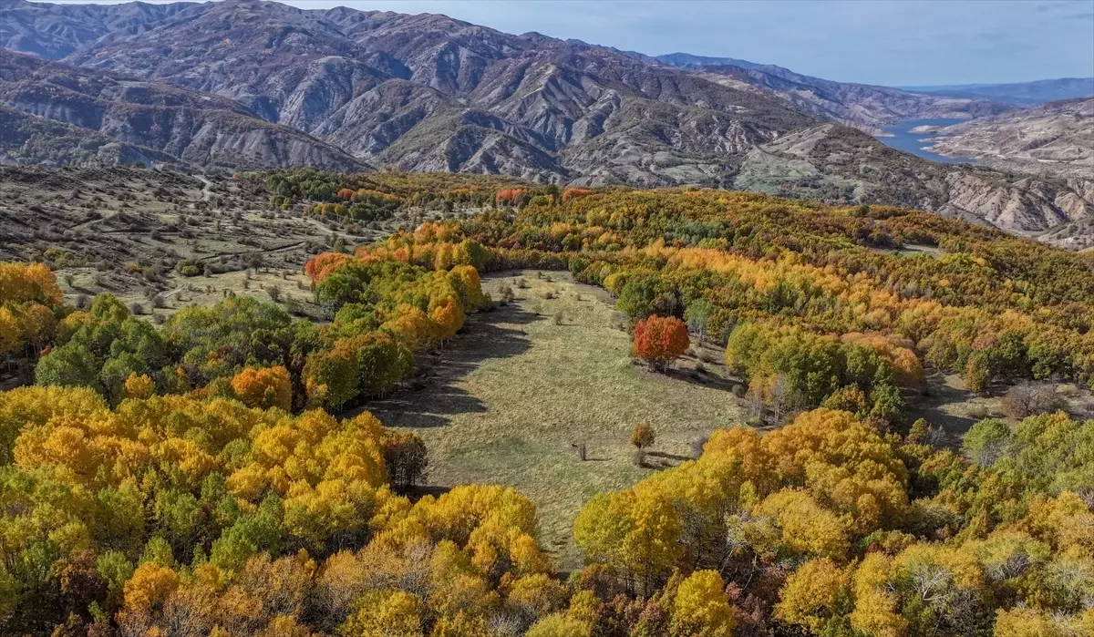 Andok Dağı'nda Sonbahar Renkleri Görsel Şölen Sunuyor
