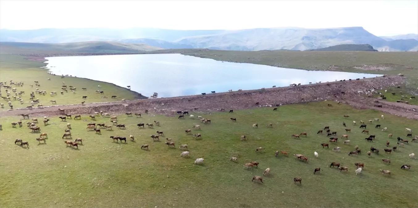 Erzurum'da 800'den Fazla Gölet Tarım ve Hayvancılığı Destekliyor