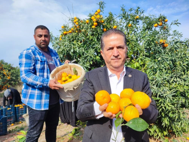 iscilerin grevi meyveyi dalinda birakti kilosu 3 19260314 452 m