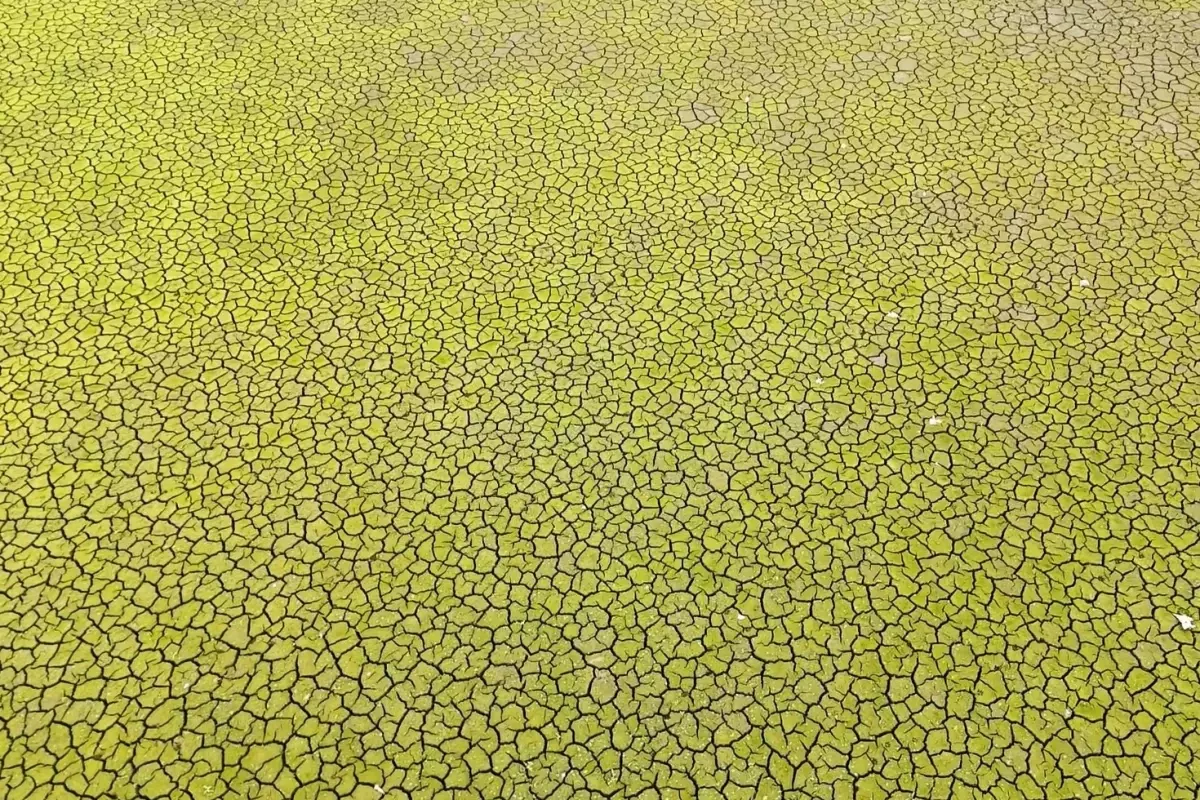 İstanbul için kıyamet senaryosu: Bu şekilde yaza girersek felaket olur