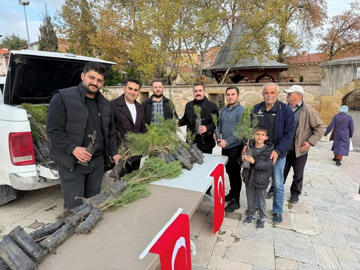 Merzifon'da şehit askerler için fidan dağıtıldı