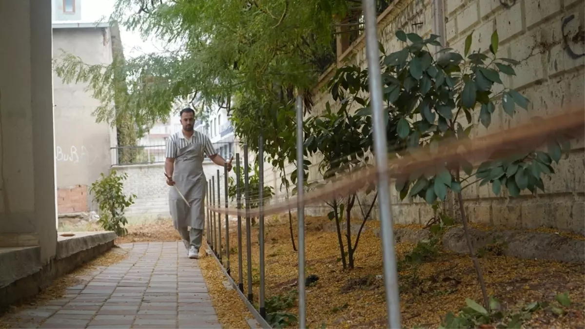 Mezopotamya'nın Kadim Dokuma Geleneği: Şal-Şepik