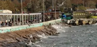 Tekirdağlı Balıkçılar Lodos Nedeniyle Ava Çıkamadı