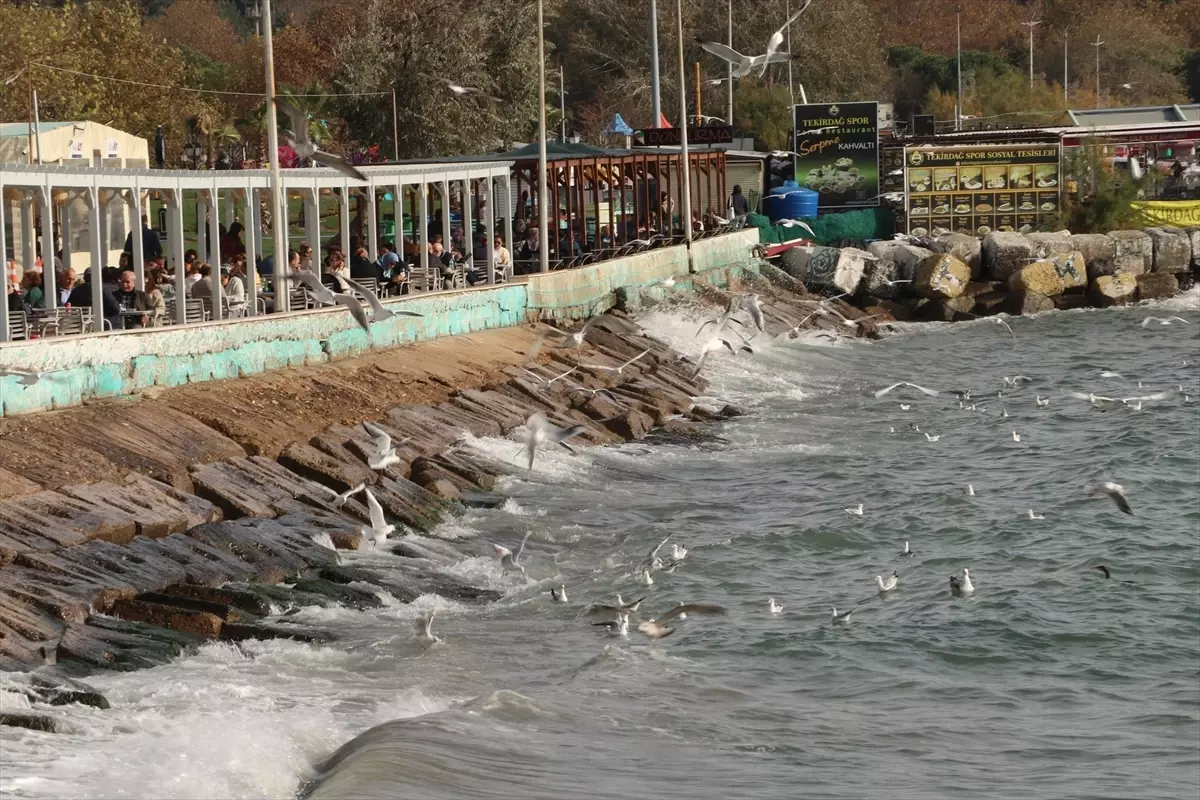 Tekirdağlı Balıkçılar Lodos Nedeniyle Ava Çıkamadı