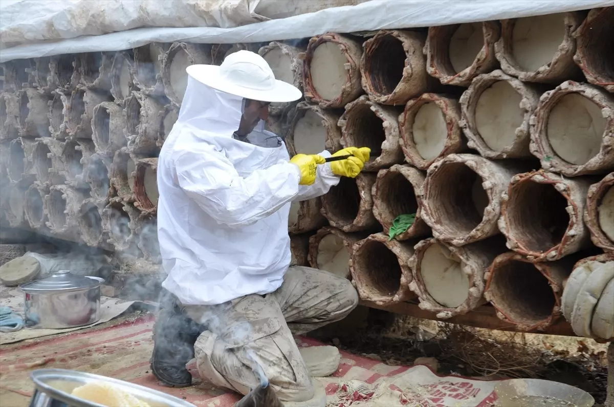 Hizan'da Kara Kovan Balı Hasadı Devam Ediyor