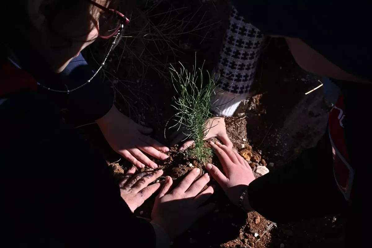 Gaziantep'te Gazze'ye Destek İçin 120 Fidan Dikildi