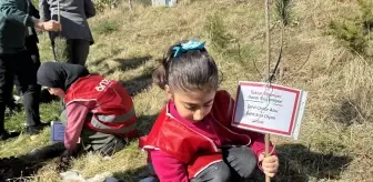 Hakkari'de Türkiye ve Gazze'deki şehitler anısına fidan dikildi