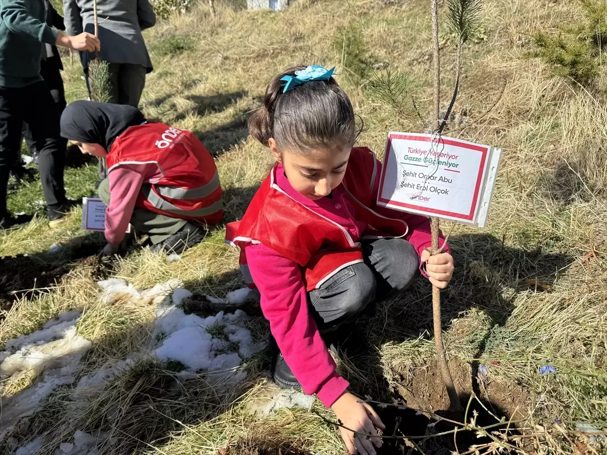 Hakkari'de Türkiye ve Gazze'deki şehitler anısına fidan dikildi