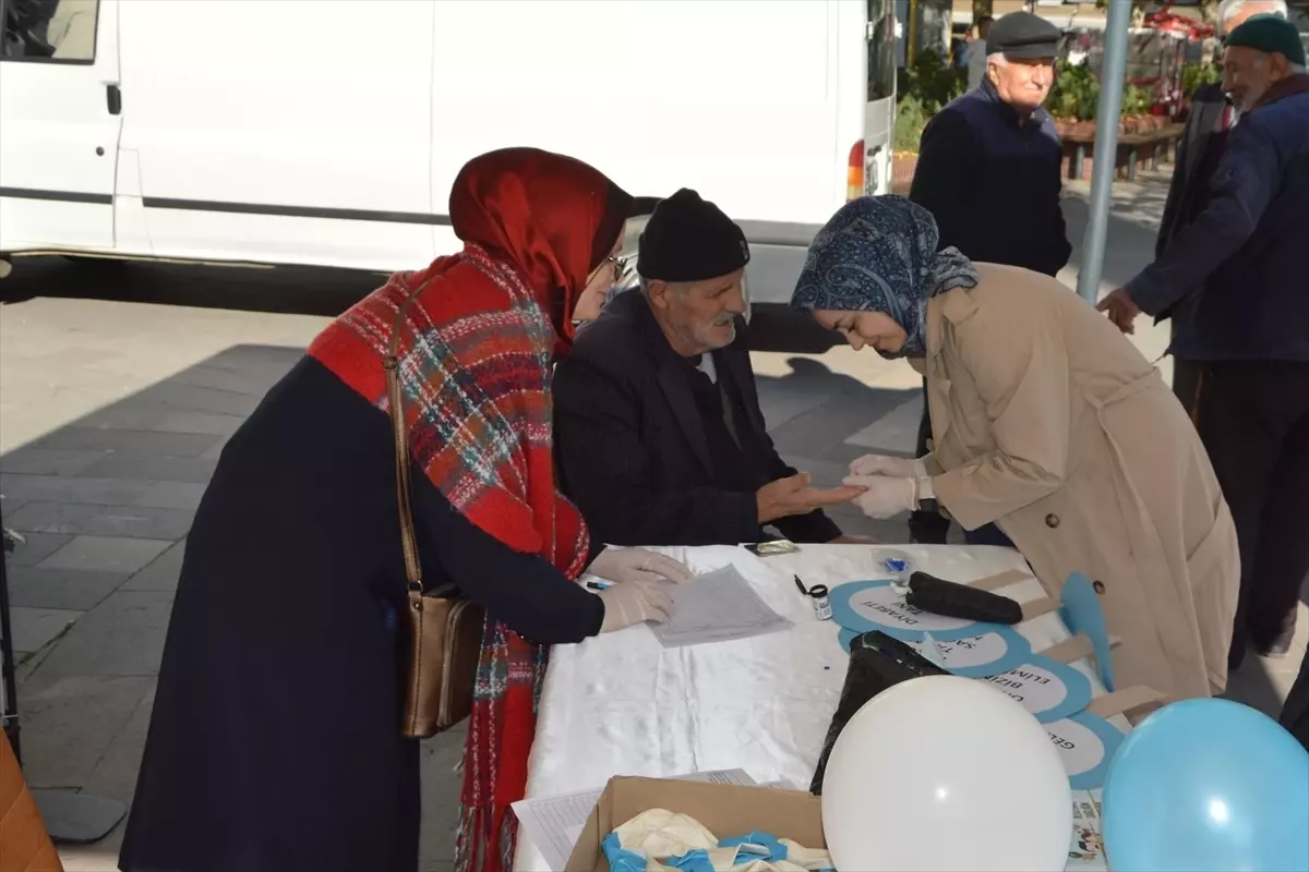 Havza'da Dünya Diyabet Günü Etkinliği: Ücretsiz Kan Şekeri Ölçümü ve Bilgilendirme
