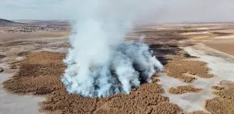 Konya'da Kuş Cenneti Olan Gökgöl'deki Sazlıklar Yangınlarla Kavruluyor