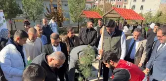 Mardin'de Yeşil Gelecek İçin Fidan Dikildi