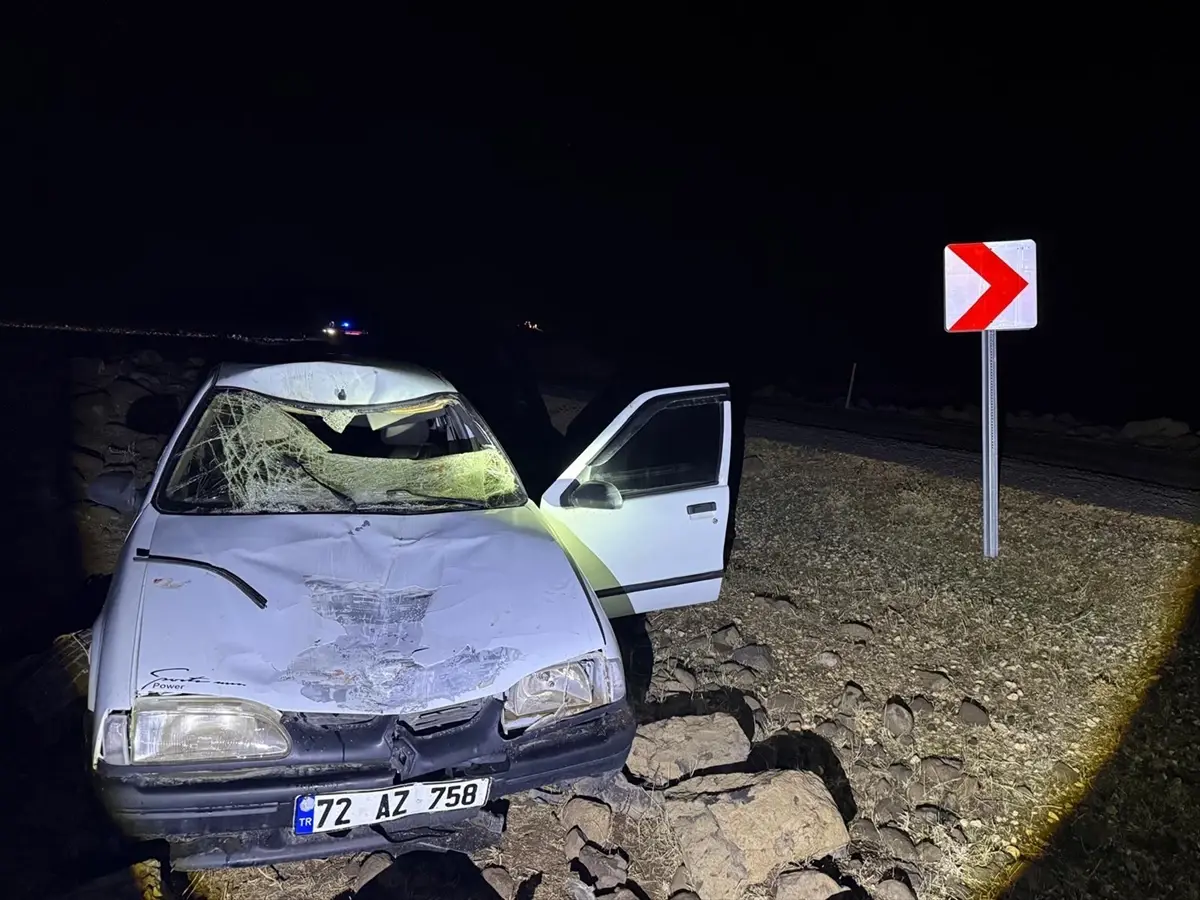 Şanlıurfa'da Eşeğe Çarpan Otomobilin Sürücüsü Yaralandı
