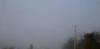 Tokat'ta sis etkili oldu