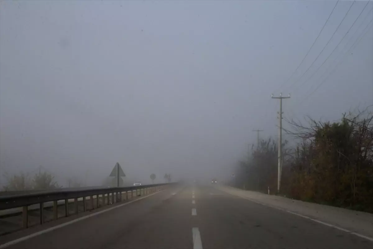 Tokat'ta sis etkili oldu