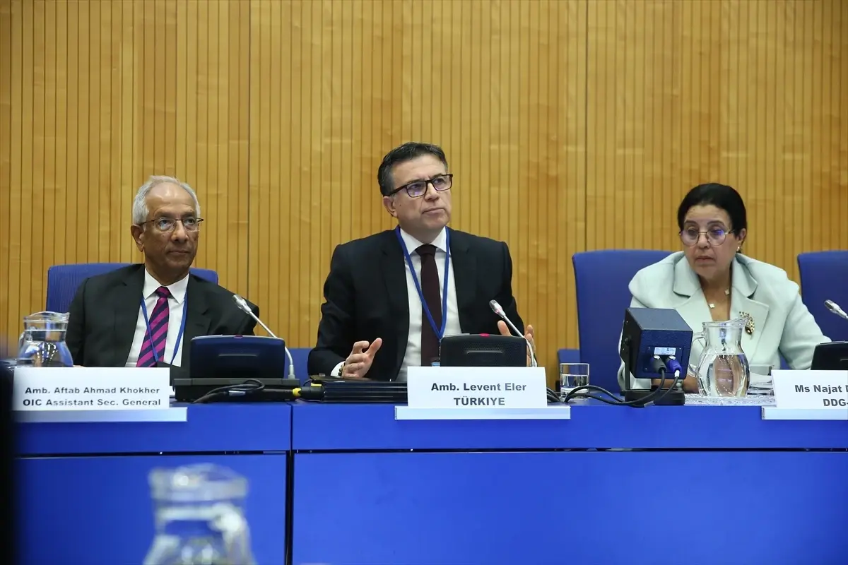 Türkiye, BM'de UAEA'nın Kanserle Mücadele ve Gıda Güvenliği Girişimlerini Ele Aldı