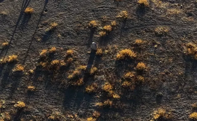 92 yil once koy mezari yerine catalhoyuk e go 6 19268552 o