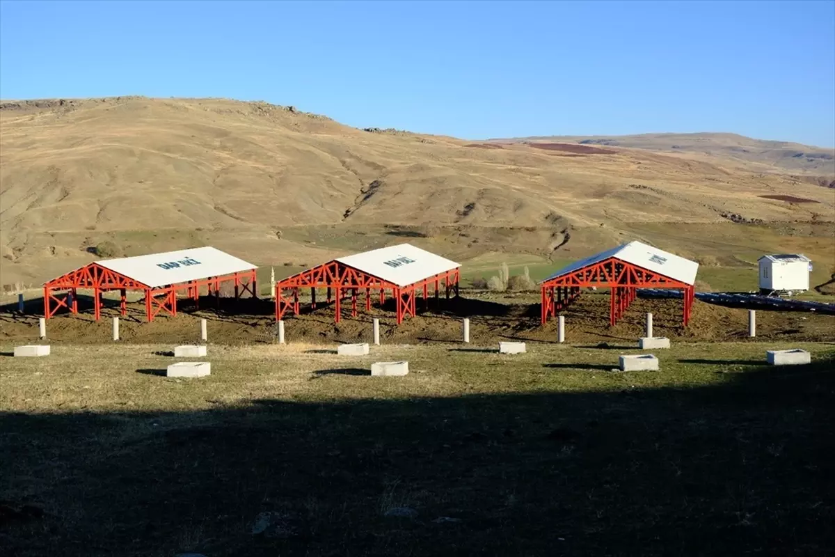 Ağrı'da Çiftçilere Modern Hayvancılık İçin Altyapı Yatırımı